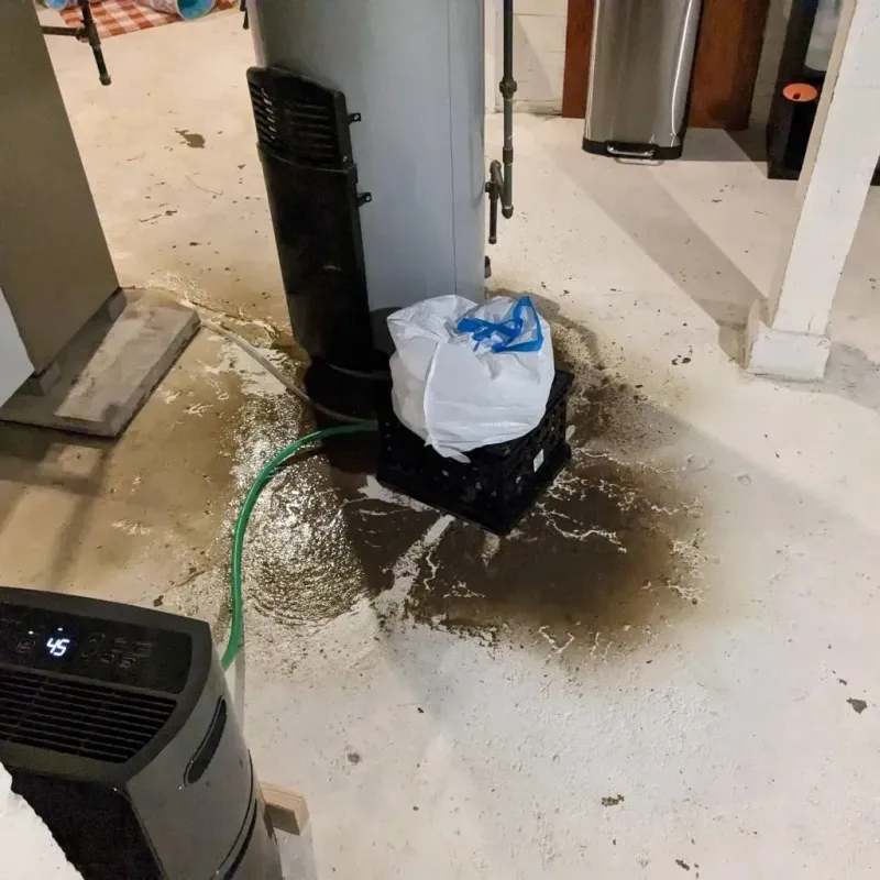 Sewage Backup Cleanup Service in Geneva, NE